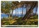 Thumbnail-2