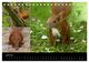 Thumbnail-11