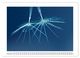 Thumbnail-13