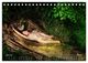 Thumbnail-12
