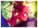 Thumbnail-12