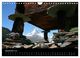 Thumbnail-14