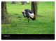 Thumbnail-10