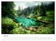 Thumbnail-11