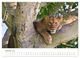 Thumbnail-11