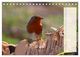 Thumbnail-11