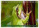 Thumbnail-9