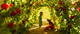 Thumbnail-8