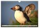 Thumbnail-9