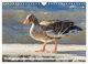 Thumbnail-13