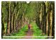 Thumbnail-9
