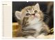 Thumbnail-9