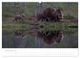 Thumbnail-14