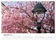 Thumbnail-14