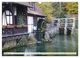 Thumbnail-12