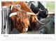 Thumbnail-8