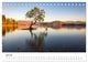 Thumbnail-12