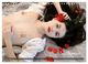 Thumbnail-11