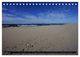 Thumbnail-10