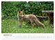 Thumbnail-14