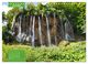 Thumbnail-11