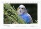 Thumbnail-14