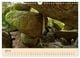 Thumbnail-12