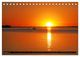 Thumbnail-10