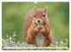 Thumbnail-12