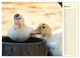 Thumbnail-9