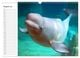 Thumbnail-10