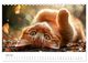 Thumbnail-8