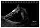 Thumbnail-9