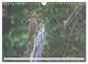 Thumbnail-12