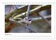 Thumbnail-12