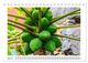 Thumbnail-8