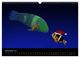 Thumbnail-14