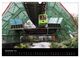 Thumbnail-14