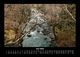 Thumbnail-10