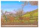 Thumbnail-11