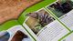 Thumbnail-11