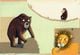 Thumbnail-2