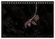 Thumbnail-9