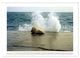 Thumbnail-14
