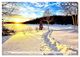 Thumbnail-12
