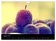 Thumbnail-10