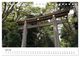 Thumbnail-12