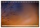 Thumbnail-11