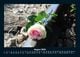 Thumbnail-12