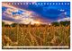 Thumbnail-12